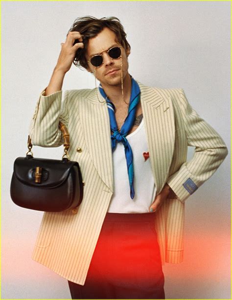 harry styles gucci jackie bag|Harry Styles Gucci campaign.